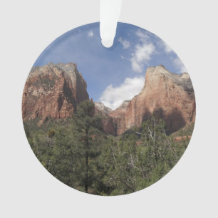 Cour des Patriarches II du Parc national de Sion