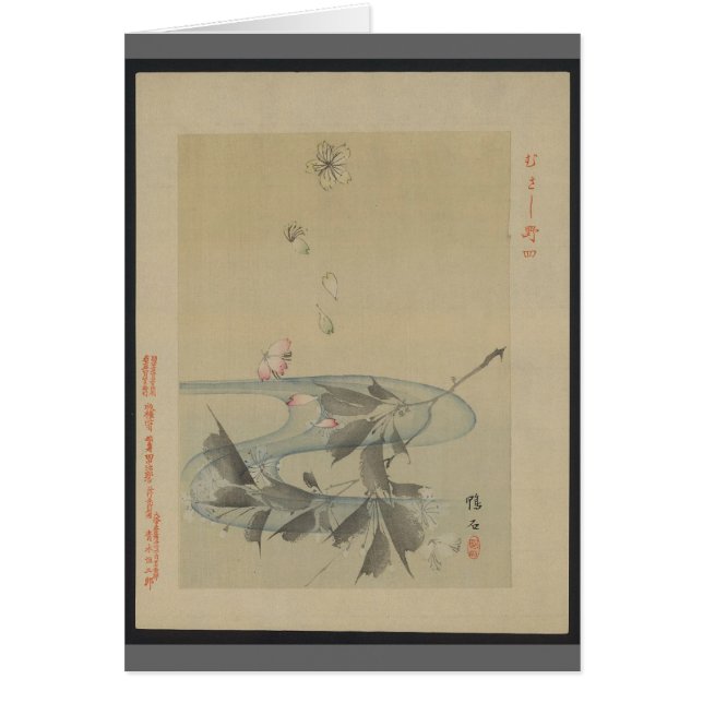 Courant asiatique (Devant)