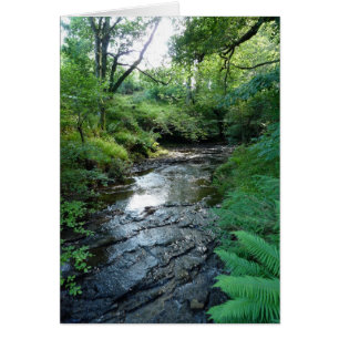 "Courant en bois du Northumberland" (6)
