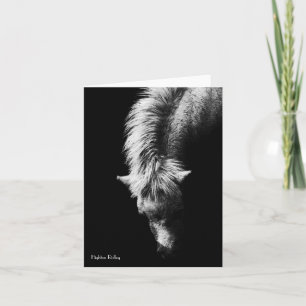 Courbe Du Noeud Cou / carte