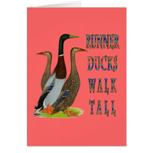 Coureurs Canards Marcher Haut