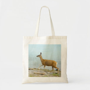 Courir le sac à dos