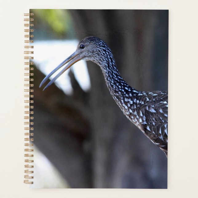 Courlan huppé, l'oiseau qui pleure (Devant)