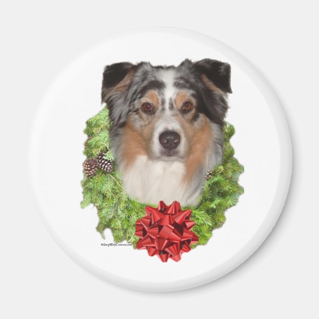 Couronne de berger australienne - Magnet (Devant)