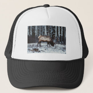 Couronne d'hiver : Élan dans Casquette de camionne