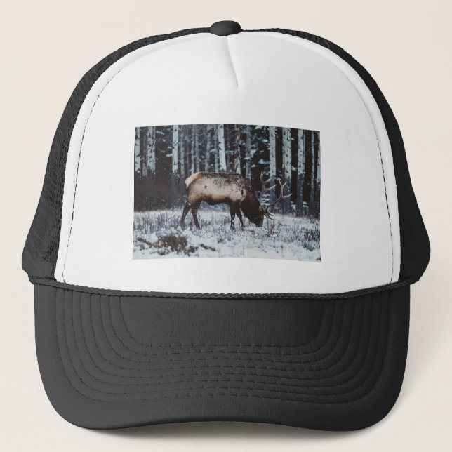 Couronne d'hiver : Élan dans Casquette de camionne (Devant)