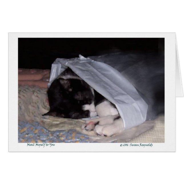 Courrier moi-même à vous (Devant horizontal)