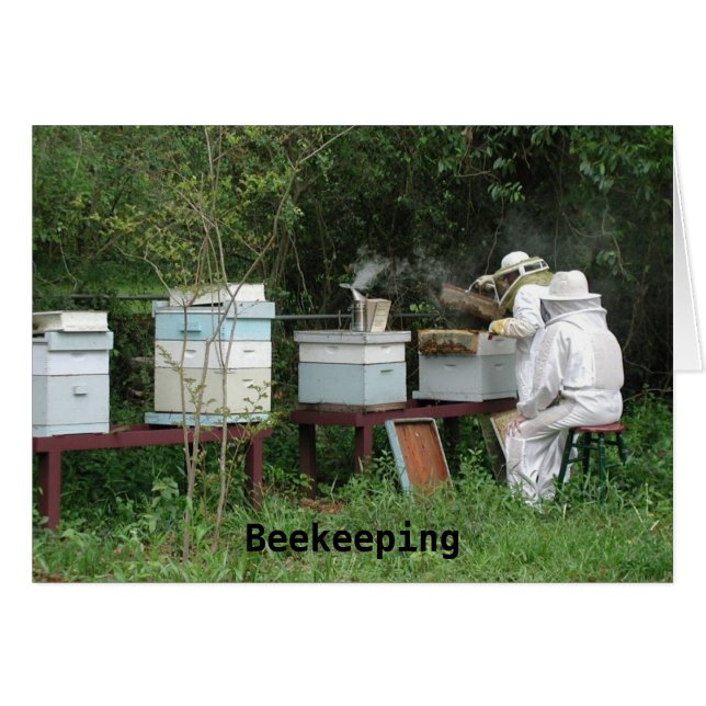 Cours de l'apiculture (Devant horizontal)