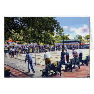 Cours de Shuffleboard de St Petersburg la Floride