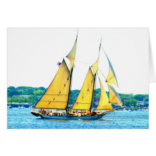 Course de goélettes (Devant horizontal)