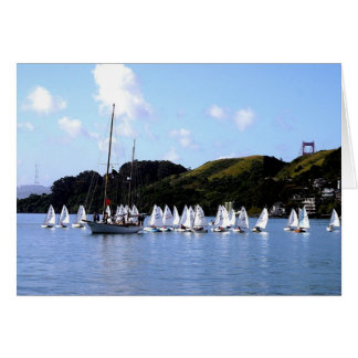 Course El Toro San Francisco Bay