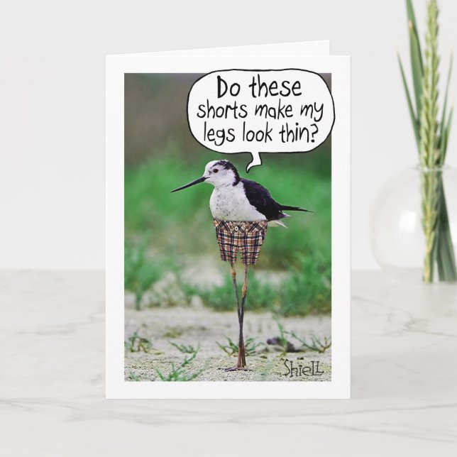 COURSES D'OISEAU FUNNY Carte ou cadeau (Devant)