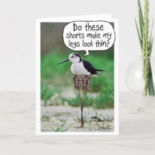 COURSES D'OISEAU FUNNY Carte ou cadeau