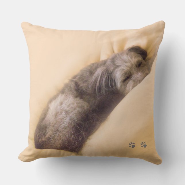 COUSSIN 犬の眠りクッション クッション (Recto)