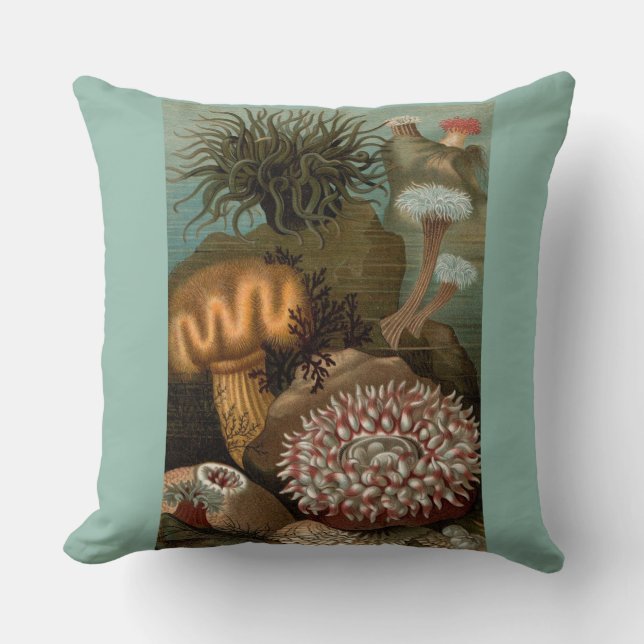 Coussin 19e century print sea anemones (Recto)