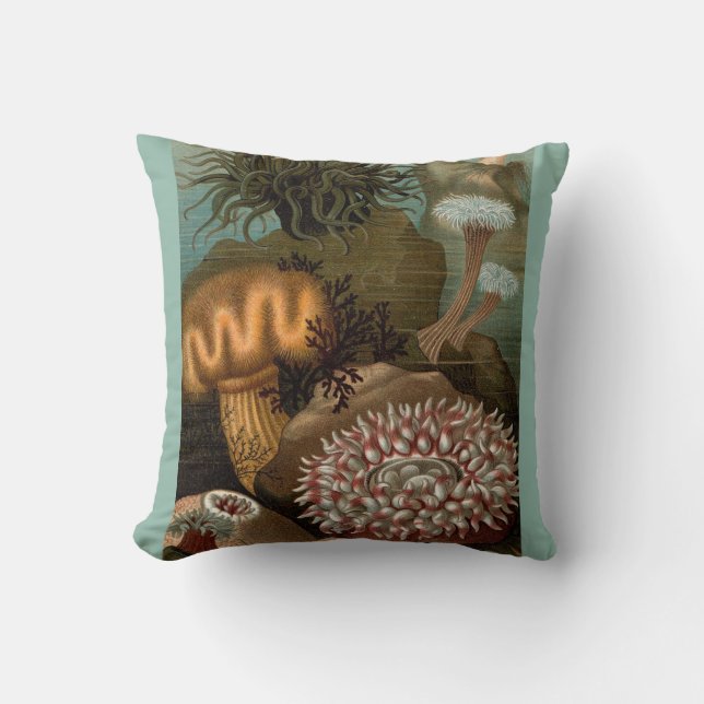 Coussin 19e century print sea anemones (Recto)