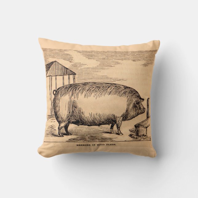 Coussin 19th century pit 'Breeder in Good Flesh' (Recto)