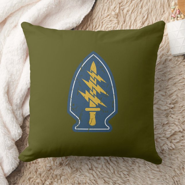 Coussin 1st Special Forces Command (Airborne). (Couverture)
