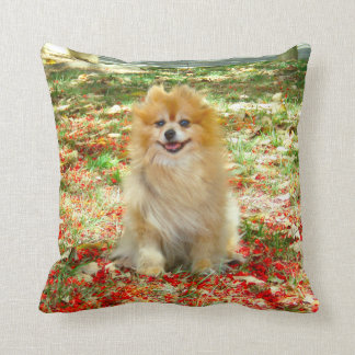 Coussin 2 fleurs mignonnes de rouge de chien de Pomeranian