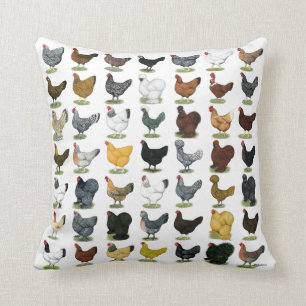 Coussin 49 poules de poulet