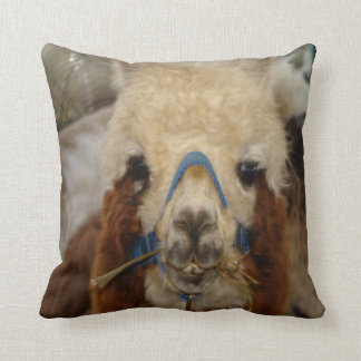 Coussin #7-Llamas et alpaga