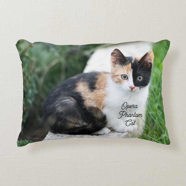 Coussin à accent de chat fantôme de l'Opéra (Devant)