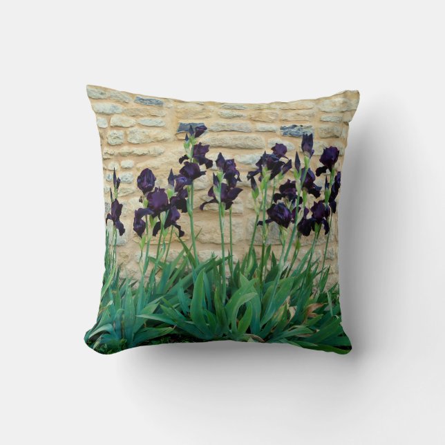 Coussin À Jets De Fer À Porte (Recto)
