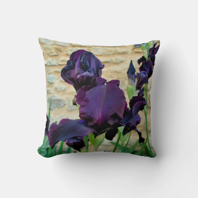 Coussin À Jets De Fer À Porte (Recto)