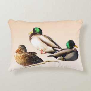 Coussin à l'accent trois canards-allards