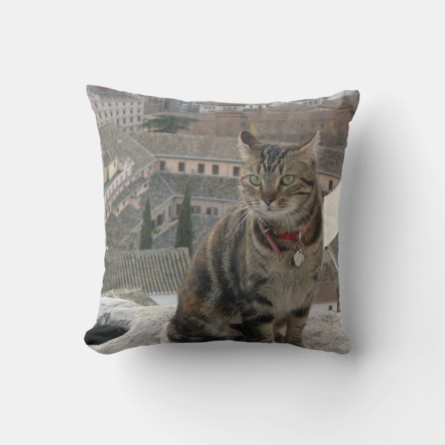 Coussin à lancer de chat 41 cm x 41 cm (Recto)