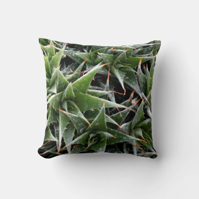 Coussin à lancer d'humeur fraîche (Recto)