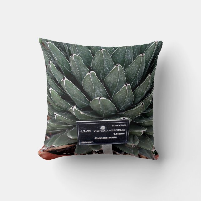 Coussin à lancer photo Plante Agave 41 cm x 41 cm (Recto)