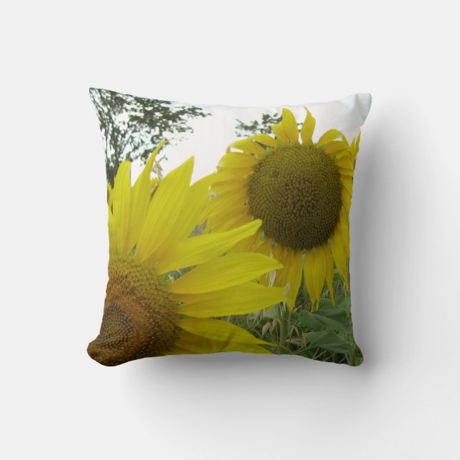 Coussin à lancer photo tournesol 41 cm x 41 cm (Recto)