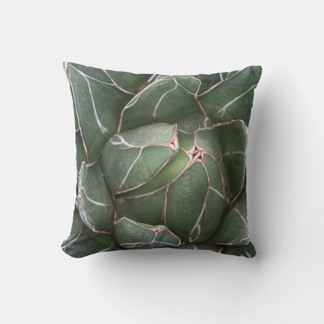 Coussin à lancer Plante Succulent vert 41 cm x 41  (Recto)