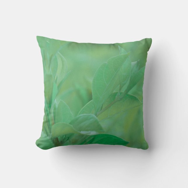 Coussin à oreiller à Feuilles Plantes vert pâle (Recto)