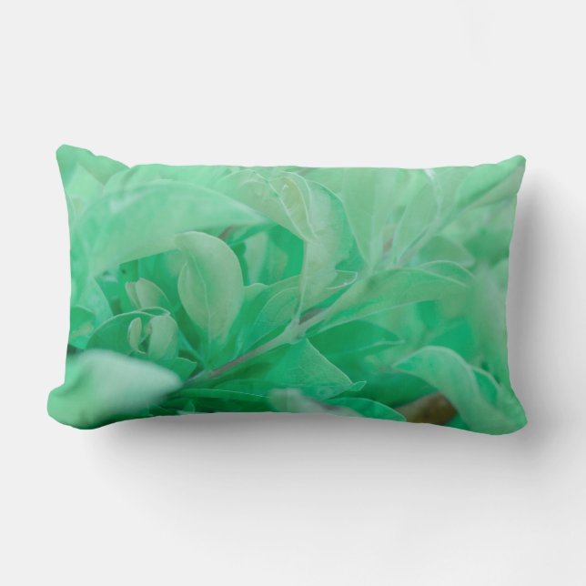 Coussin à oreiller à Feuilles Plantes vert pâle (Recto)