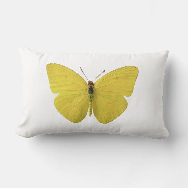 Coussin à papillon jaune (Recto)