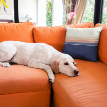 Coussin à rayures bleu rétro et bracelet