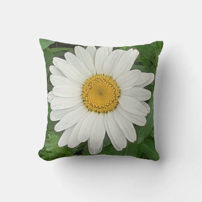 Coussin à rayures de marguerite blanche (Recto)