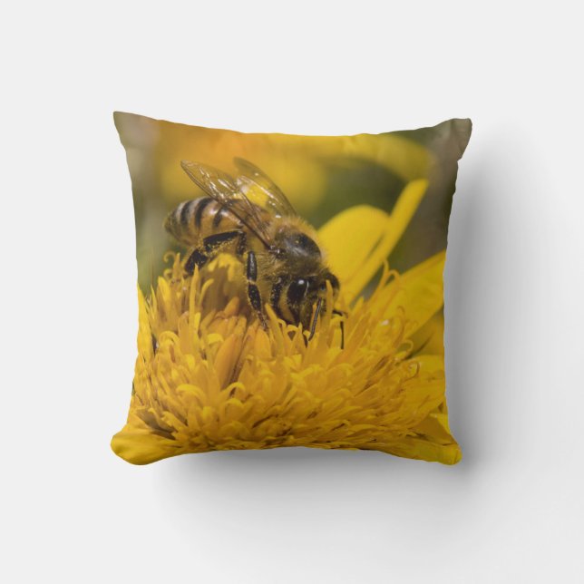 Coussin Abeille africaine avec sacs de pollen en train de  (Recto)
