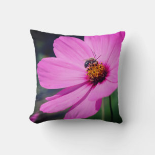Coussin Abeille De Miel Sur Fleur De Cosmos Rose