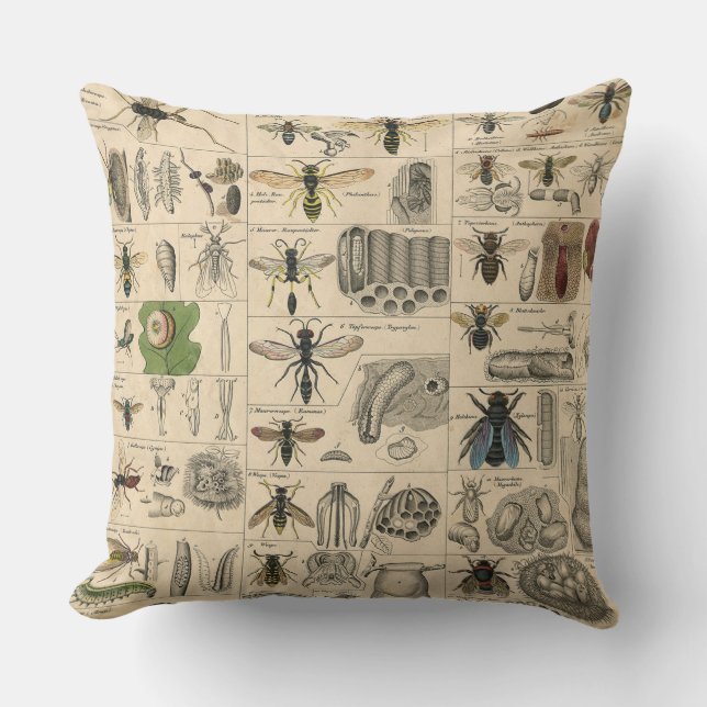 Coussin Abeille Insecte Bug Wasp Nature Peinture des abeil (Recto)