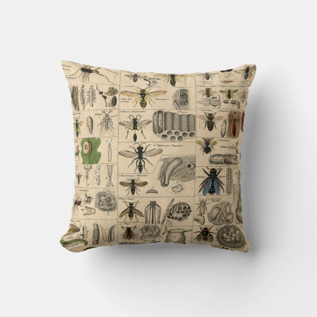Coussin Abeille Insecte Punaise Guêpe Histoire Naturelle A (Recto)
