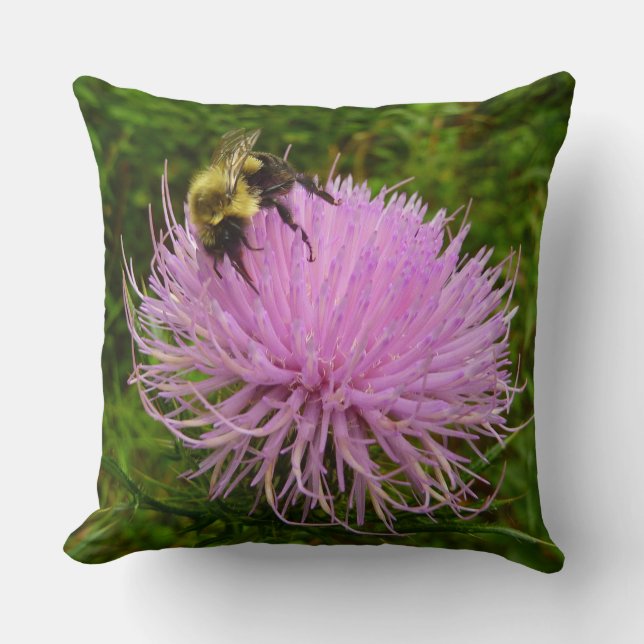 Coussin Abeille sur Fleur de Chardon Nature (Recto)