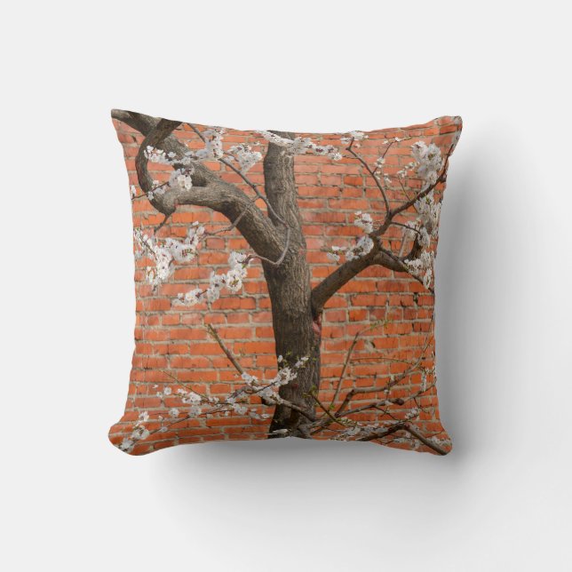 Coussin Abricotier en fleurs mur de briques rouges Printem (Recto)