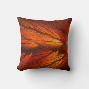Coussin Abstrait Fractal en plumes orange