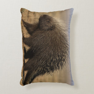 Coussin accent à l'effigie de Chien contre Porc-Ép