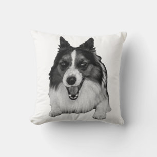 Coussin Accent canapé à feuillage persistant