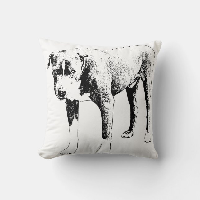Coussin Accent Compagnon De Neige (Recto)