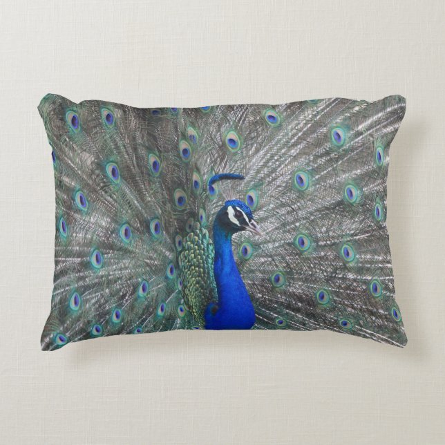 COUSSIN ACCENT PHOTO PEACOCK (Devant)
